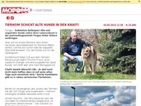 Bild zum Artikel: Tierheim schickt alte Hunde in den Knast!