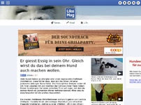 Bild zum Artikel: Er giesst Essig in sein Ohr. Nach dem Resultat, wirst du das bei deinem Hund auch machen wollen.