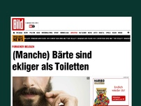 Bild zum Artikel: Forscher belegen - (Manche) Bärte sind ekliger als Toiletten