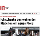 Bild zum Artikel: Nach Tier-Tragödie - Er will Pferdemädchen Vollblut schenken