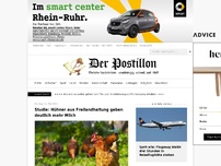 Bild zum Artikel: Studie: Hühner aus Freilandhaltung geben deutlich mehr Milch