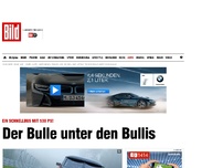 Bild zum Artikel: Ein Schnellbus mit 530 PS! - Hier kommt der Bulle unter den Bullis