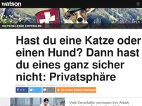 Bild zum Artikel: Hast du eine Katze oder einen Hund? Dann hast du eines ganz sicher nicht: Privatsphäre