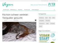 Bild zum Artikel: Füchsin schwer verletzt: Tierquäler gesucht