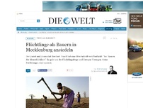 Bild zum Artikel: Flüchtlinge : Flüchtlinge als Bauern in Mecklenburg ansiedeln!