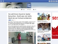 Bild zum Artikel: Sie will ihren Hund im Spital besuchen. Als sie ihn sieht, traut sie ihren Augen nicht.