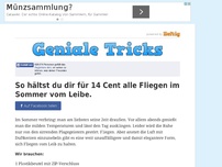 Bild zum Artikel: So hältst du dir für 14 Cent alle Fliegen im Sommer vom Leibe.