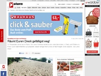 Bild zum Artikel: Vermüllung von Parks und Stränden: Räumt Euren Dreck weg, Ihr Blödmänner!