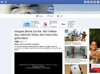 Bild zum Artikel: Stoppe deine Suche: Wir haben das süßeste Video des Internets gefunden!