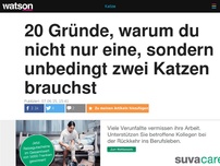 Bild zum Artikel: 20 Gründe, warum du nicht nur eine, sondern unbedingt zwei Katzen brauchst 