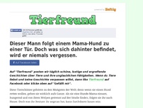 Bild zum Artikel: Dieser Mann folgt einem Mama-Hund zu einer Tür. Doch was sich dahinter befindet, wird er niemals...