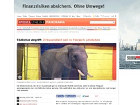 Bild zum Artikel: Tödlicher Angriff: Zirkuselefant soll hinter Gitter