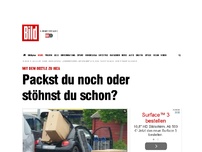 Bild zum Artikel: Mit dem Beetle zu Ikea - Packst du noch oder stöhnst du schon?