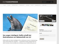 Bild zum Artikel: Von wegen intelligent: Delfin schafft bei Zentralmatura nur Notenschnitt von 4,2