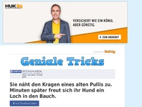 Bild zum Artikel: Sie näht den Kragen eines alten Pullis zu. Minuten später freut sich ihr Hund ein Loch in den Bauch.