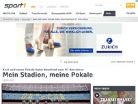 Bild zum Artikel: Mein Stadion, meine Pokale