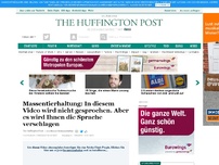 Bild zum Artikel: Massentierhaltung: In diesem Video wird nicht gesprochen. Aber es wird Ihnen die Sprache verschlagen