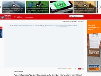 Bild zum Artikel: Blutsaugender Parasit - Neue Technik: So entfernen Sie problemlos jede Zecke, ohne dass der Kopf stecken bleibt
