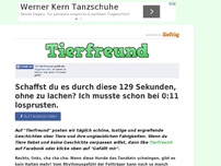 Bild zum Artikel: Schaffst du es durch diese 129 Sekunden, ohne zu lachen? Ich musste schon bei 0:11 losprusten.