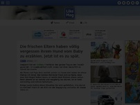 Bild zum Artikel: Die frischen Eltern haben völlig vergessen ihrem Hund vom Baby zu erzählen. Jetzt ist es zu spät.