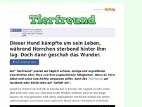 Bild zum Artikel: Dieser Hund kämpfte um sein Leben, während Herrchen sterbend hinter ihm lag. Doch dann geschah...