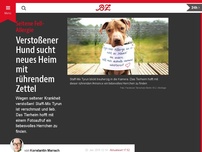 Bild zum Artikel: Verstoßener Hund sucht neues Heim mit rührendem Zettel