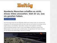 Bild zum Artikel: Hunderte Menschen schaffen es nicht, dieses Video anzusehen. Sieh du, was sie gesehen haben.