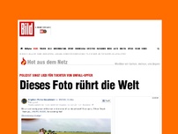 Bild zum Artikel: Polizist singt für Mädchen - Dieses Foto rührt die Welt