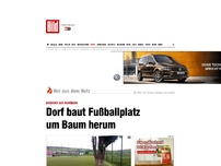 Bild zum Artikel: Stamm-Spieler - Dorf baut Fußballplatz um Eiche herum