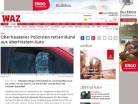 Bild zum Artikel: Oberhausener Polizisten retten Hund aus überhitztem Auto