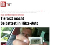 Bild zum Artikel: Appell an Hundehalter - Tierarzt macht Selbsttest im Hitze-Auto