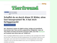 Bild zum Artikel: Schaffst du es durch diese 22 Bilder, ohne laut loszuprusten? Nr. 4 hat mich fertiggemacht!