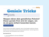 Bild zum Artikel: Wespen stören dein gemütliches Picknick? Dieser geniale Trick wird dir zeigen, wie du sie ganz...