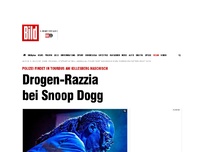 Bild zum Artikel: Haschisch im Tourbus - Drogen-Razzia bei Snoop Dogg