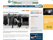 Bild zum Artikel: Dressurreiterin Christine Wels - 
Pferd tötet verurteilte Tierquälerin