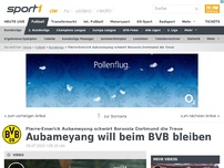 Bild zum Artikel: Aubameyang bekennt sich zum BVB