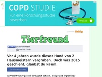 Bild zum Artikel: Vor 4 Jahren wurde dieser Hund von 2 Hausmeistern vergraben. Doch was 2015 geschieht, glaubst du...