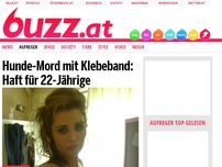 Bild zum Artikel: Hunde-Mord mit Klebeband: Haft für 22-Jährige