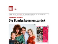 Bild zum Artikel: Die Bundys - „Eine schrecklich nette Familie“ kommt zurück