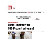 Bild zum Artikel: Test an 4000 Menschen - Ebola-Impfstoff zu 100 Prozent wirksam!