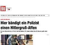 Bild zum Artikel: Auf Demonstration - Hier bändigt ein Polizist einen Hitlergruß-Affen