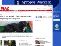 Bild zum Artikel: Flecki ist zurück - Besitzer warteten tagelang am Rastplatz