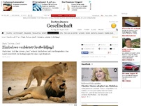 Bild zum Artikel: Zimbabwe verbietet Großwildjagd nach Tod von „Cecil“