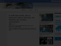 Bild zum Artikel: Er trifft den Gorilla, den er während 5 Jahren betreute. Die Reaktion des Gorillas... unbezahlbar!