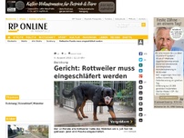 Bild zum Artikel: Duisburg - Gericht: Rottweiler muss eingeschläfert werden