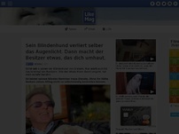 Bild zum Artikel: Sein Blindenhund verliert selber das Augenlicht. Dann macht der Besitzer etwas, das dich umhaut.