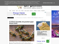 Bild zum Artikel: 8 einfache Hausmittel, die garantiert gegen Wespen helfen