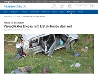 Bild zum Artikel: Verunglücktes Ehepaar ruft: Erst die Hunde, dann wir!