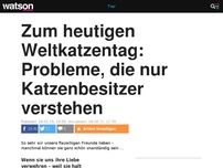 Bild zum Artikel: Zum heutigen Weltkatzentag: Probleme, die nur Katzenbesitzer verstehen