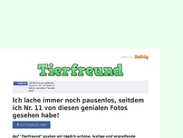Bild zum Artikel: Ich lache immer noch pausenlos, seitdem ich Nr. 11 von diesen genialen Fotos gesehen habe!